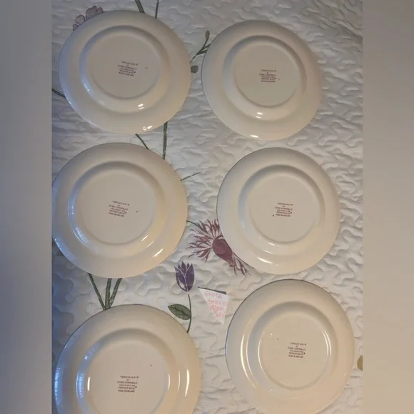 6 plates, 3 tea cups! Tiffany and Co, “Tiffany ivy” - Picture 6 of 6